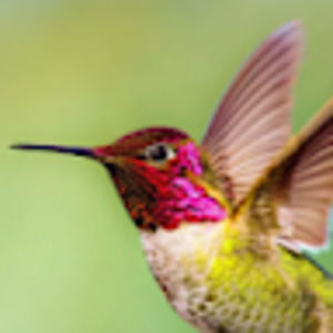 Meet your Posher, Dan